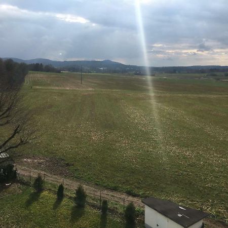 Sonnenappartment In Homburger Solarhaus ホンブルク エクステリア 写真