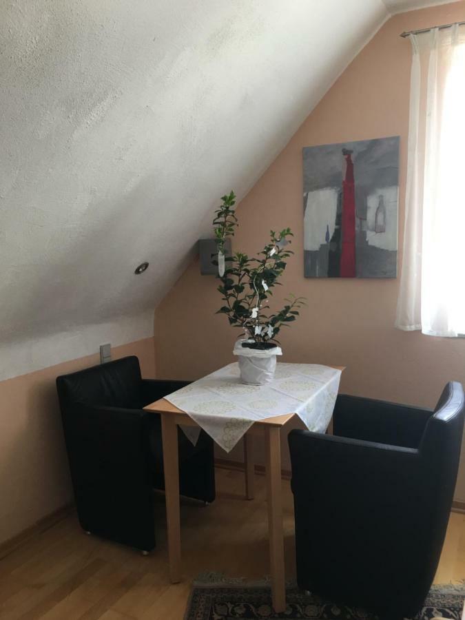 Sonnenappartment In Homburger Solarhaus ホンブルク エクステリア 写真