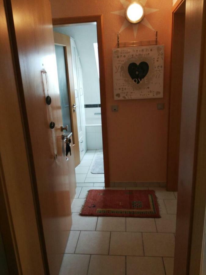 Sonnenappartment In Homburger Solarhaus ホンブルク エクステリア 写真